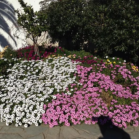 Hotel Aristoteles And 4*